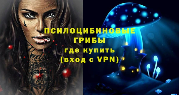 ешки Балахна