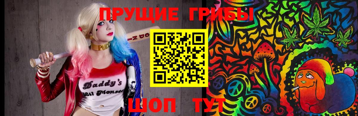 Семилуки  Псилоцибиновые грибы ЛСД  Вход с VPN 