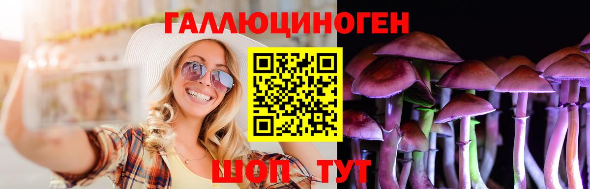 Псилоцибиновые грибы GOLDEN TEACHER Семилуки